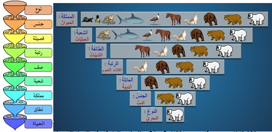 المجال 4 : تصنيف الكائنات الحية - تعريف النوع - iMadrassa